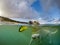 Dog swimming with a frisbee -Curacao Views