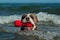 A dog swims with her toy in a wavy sea