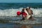 A dog swims with her toy in a wavy sea