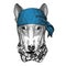 DOG for t-shirt design Wild animal wearing bandana or kerchief or bandanna Image for Pirate Seaman Sailor Biker