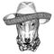 DOG for t-shirt design Wild animal wearing sombrero Mexico Fiesta Mexican party illustration Wild west