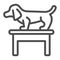 Dog on table line icon, animal hospital concept, Dachshund standing on table at veterinary office sign on white