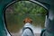 Dog in a tent in the rain. Nova Scotia Duck Tolling Retriever in the camp. Pet Travel