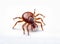 dog, tick, insect, bug,macro, isolated on transparent background png file. generative ai