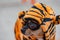 Dog in tiger clothes. Cute chihuahua dog in winter clothes in spring or autumn