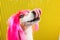 Dog tongue on it`s nose. Hungry small pet. Pink wig and yellow and black striped background