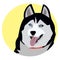 Dog with tongue sticking out, husky label for advertising, pet, sled dog for sled racing, human four-legged friend, purebred dog b