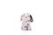 Dog toy dalmatian puppy white background