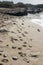 Dog tracks in the seashora, Mallorca dog friendly beach