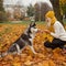 Dog training. Dog husky gives a woman the paw