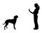 Dog training (obedience)