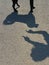 Dog training - woman and dog shadows
