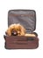 Dog in travel case