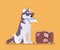 Dog travel, cute pet with airline ticket and travelling bag