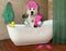 Dog in turban sits in bath