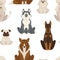 Dog types and breeds canine animals seamless pattern isolated on white background vector.