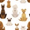 Dog types and breeds canine animals seamless pattern vector