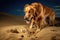 dog uncovering buried treasure in sand