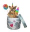 Dog unicorn with ice cream inside round gift box