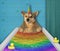 Dog unicorn takes a colored bath