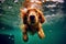 dog vacation fun puppy pool underwater snorkeling funny water swimming. Generative AI.