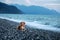 Dog on vacation. Nova Scotia Duck Tolling Retriever lying on the beach by the sea.