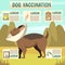 Dog Vaccination Orthogonal Background Poster