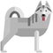 Dog vector, alaskan malamute husky wolf icon