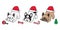 Dog vector Christmas french bulldog Santa Claus hat icon puppy pet candy cane character cartoon symbol illustration design