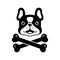 dog vector french bulldog crossbones icon pirate flag logo puppy head face pet bone cartoon character symbol tattoo stamp