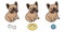 Dog vector french bulldog icon character cartoon puppy bone food bowl toy breed logo illustration doodle brown