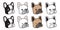 Dog vector french bulldog icon logo face cartoon character puppy breed illustration doodle