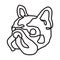 Dog vector french bulldog logo icon face head graphic line illustration
