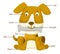 Dog vocabulary part of body vector