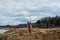 A dog on a walk with tongue hanging out is happy. German Shepherd stands on sandy quarry against background of mixed forest and