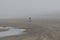 Dog walker - Beach - Bad Weather