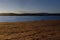 Dog walkers on Exmouth beach in winter