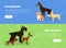 Dog Walking, Training Banner, Landing Page Template, Dog School or Club Vector Illustration