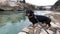Dog walks old town with curiosity lean over river fast current Mostar bridge