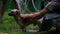 Dog washing under blurry shining water drops from garden hose