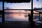 Dog watching sunset at lagoon on dock in Utila, Honduras, Central America