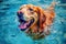 dog water vacation snorkeling fun underwater funny swimming pool puppy. Generative AI.