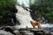 dog at the waterfall. Nova Scotia Duck Tolling Retriever in nature