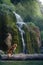 dog at the waterfall. Nova Scotia Duck Tolling Retriever in nature