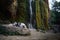 Dog on the waterfall. Pet on the nature. Australian Shepherd