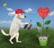 Dog watering sausage flower in pail 4