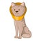Dog wearing funnel cone colla icon, cartoon style