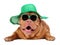 Dog wearing green straw hat and sun glasses