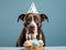 A dog wearing party hat with a birthday cake, blow candles, happy birthday and celebration concept, generative AI