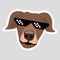 Dog wearing pixel glasses Brown dog with ears down enframed white thick line gray background Vector isolated sticker